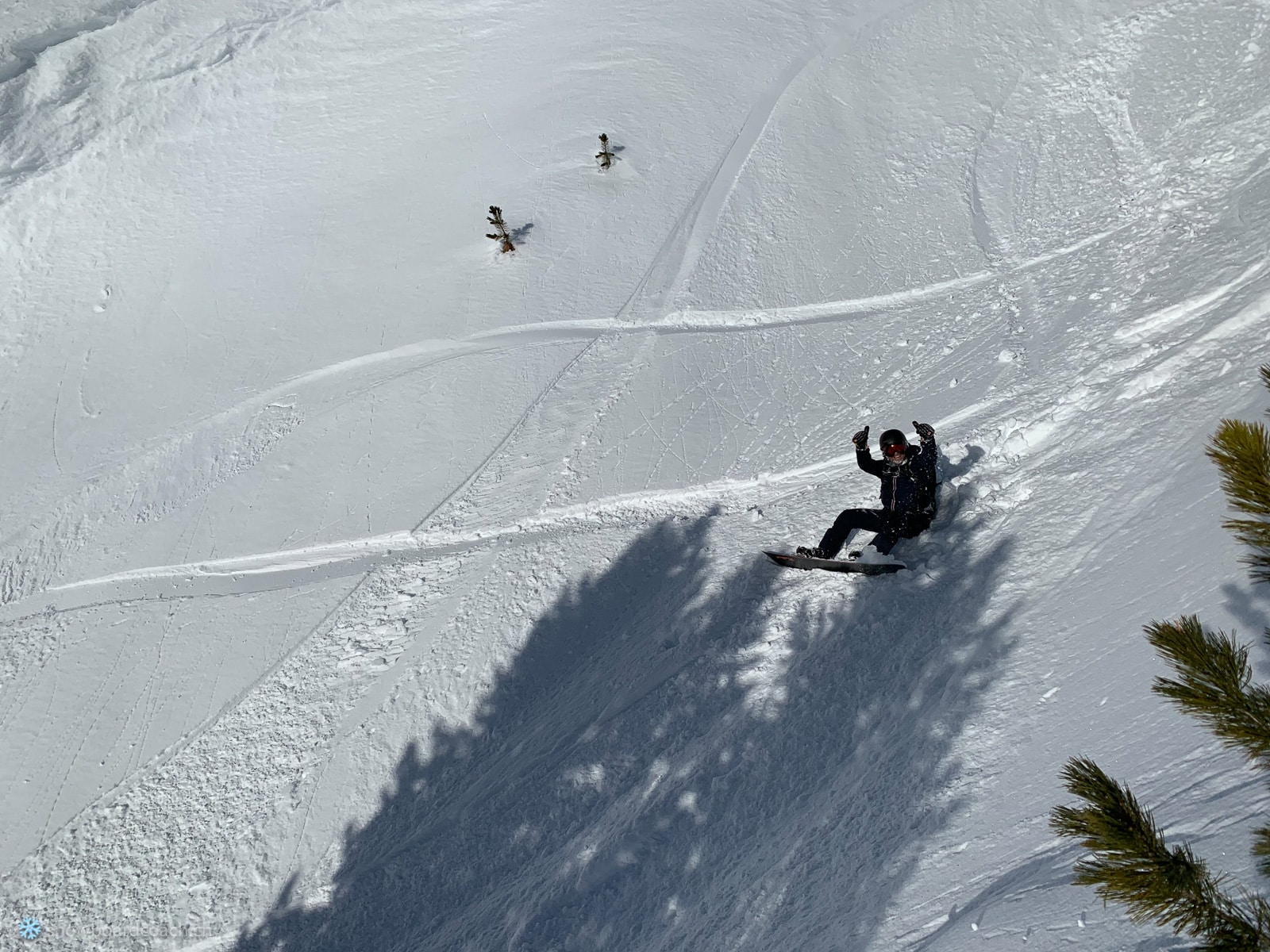 Radical Freeridekurs 20.01.19