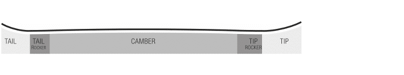 baseline shark Radical