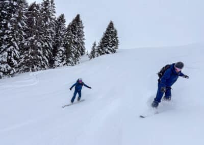 Simmental